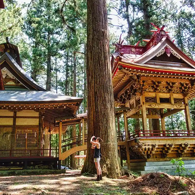 Private tours in Yamanashi Japan with Eco Tours Japan