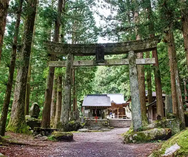 FAQ image for Eco Tours Japan private tours in Yamanashi