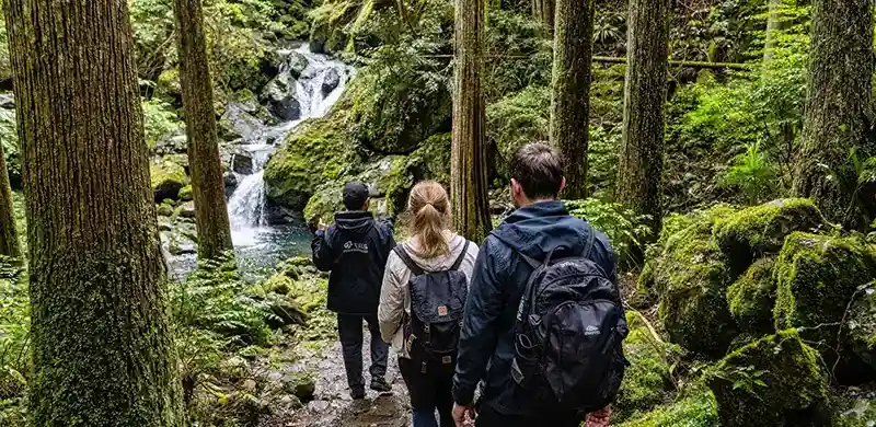 Private guided walking and light hiking tour in Yamanashi Japan