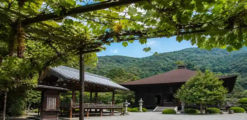 Daizenji Temple with grape vines in Koshu heritage area of Yamanashi