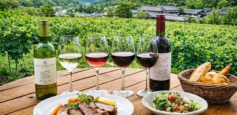 Wine tasting and lunch overlooking vineyard scenery in Katsunuma Koshu Valley Yamanashi